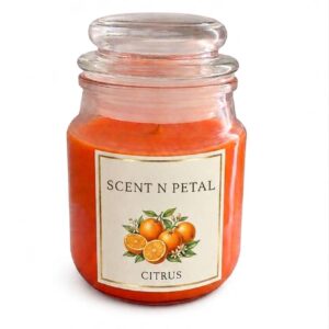 scented jar candles set of 2 – vanilla & citrus | long lasting aromatherapy candles for relaxation, home décor & gifting (copy)