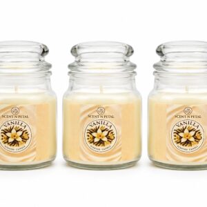scented jar candles set of 3 – vanilla fragrance | long lasting sweet aroma candles for home décor, relaxation & gifting